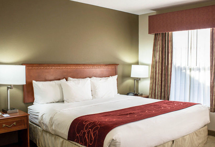 Hotel Comfort Suites Arena  | Raleigh | North Carolina | United States 20