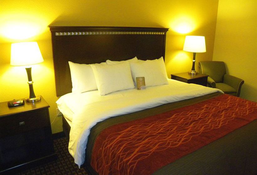 Hotel Comfort Inn & Suites Regional Medical Center  | Abilene | Texas | United States 2