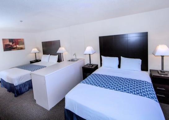 Hotel Econo Lodge & Suites Lewisville  | Lewisville | Texas | United States 2