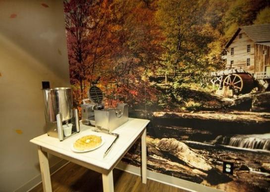 Hotel Econo Lodge & Suites Lewisville  | Lewisville | Texas | United States 7