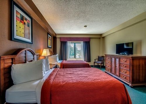 Hotel Quality Inn & Suites North Myrtle Beach  | North Myrtle Beach | South Carolina | United States 15