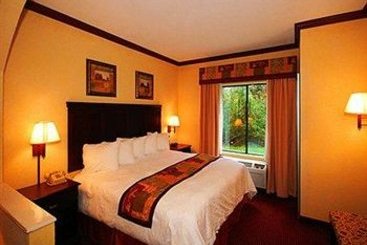 Hotel Comfort Suites Lufkin  | Lufkin | Texas | United States 4