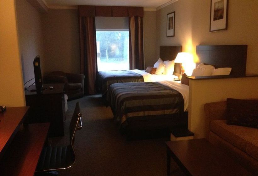 Hotel Comfort Suites Downtown Athens 