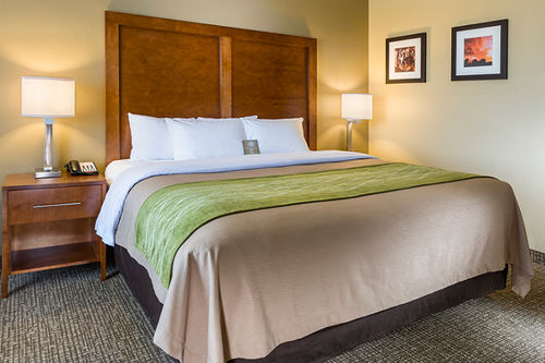 Hotel Comfort Inn & Suites Norman  | Norman | Oklahoma | United States 5