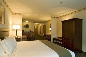 Hotel Holiday Inn Express & Suites Pharr  | Pharr | Texas | United States 3