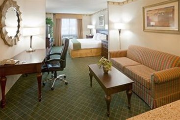 Hotel Holiday Inn Express & Suites Pharr  | Pharr | Texas | United States 6
