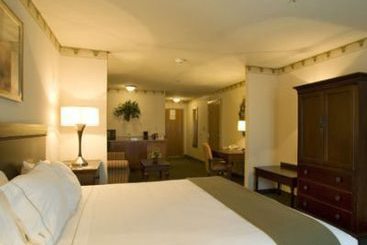 Hotel Holiday Inn Express & Suites Pharr  | Pharr | Texas | United States 8