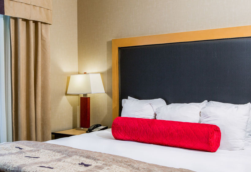 Hotel Cambria Suites Appleton  | Appleton | Wisconsin | United States 16