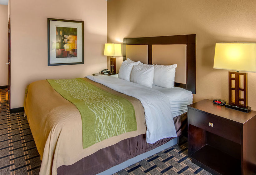 Hotel Comfort Inn & Suites Paris  | Paris | Texas | United States 10