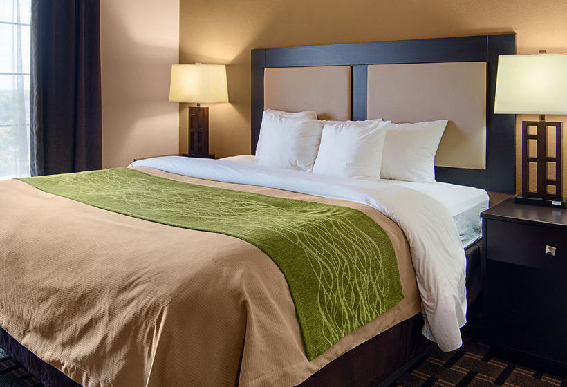 Hotel Comfort Inn & Suites Paris  | Paris | Texas | United States 20