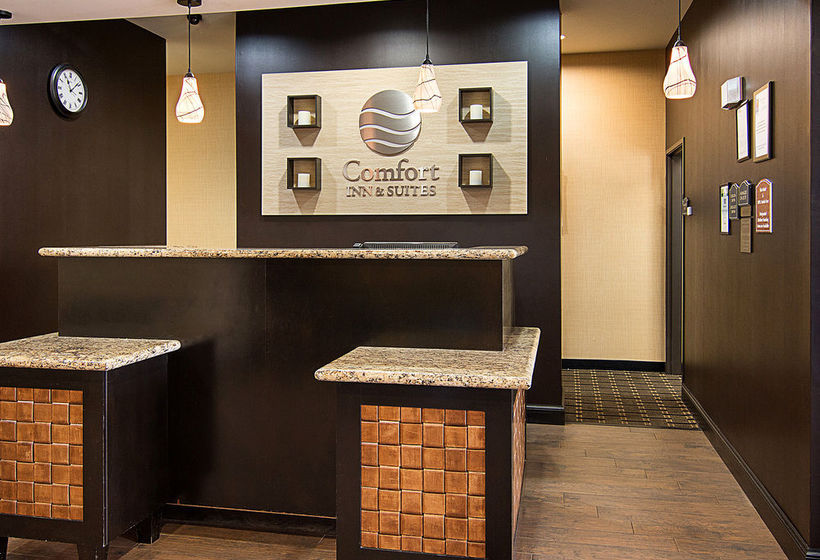 Hotel Comfort Inn & Suites Paris  | Paris | Texas | United States 8