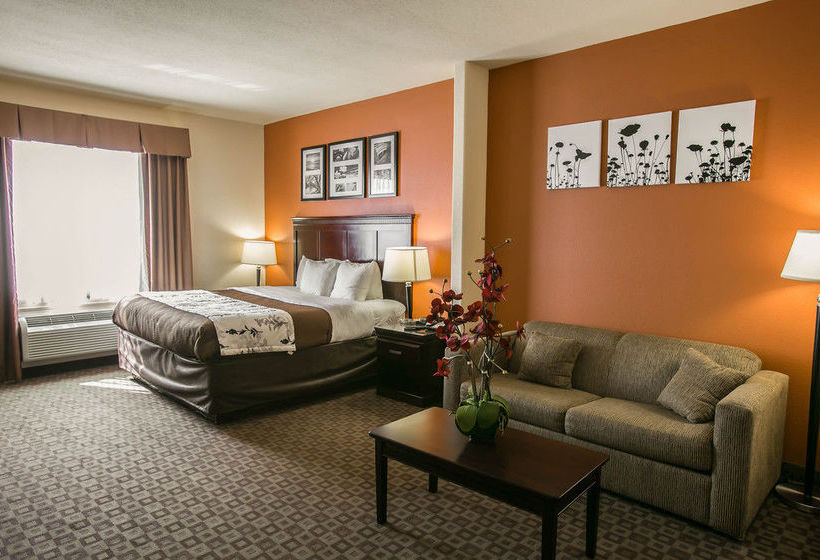 Hotel Sleep Inn & Suites Hwy 290 NW Freeway  | Houston | Texas | United States 19