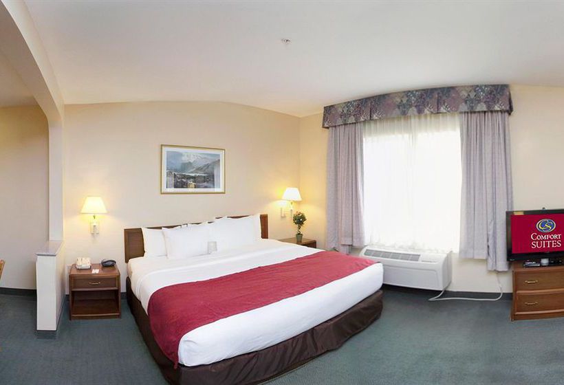 Hotel Comfort Suites La Porte  | La Porte | Texas | United States 13