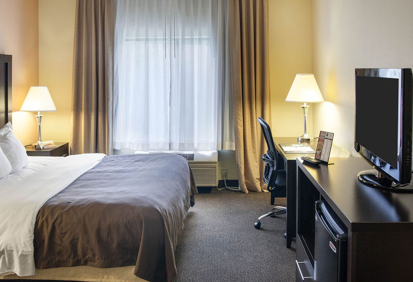 Hotel Comfort Inn & Suites  | Niles | Michigan | United States 10