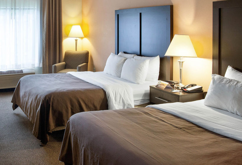 Hotel Comfort Inn & Suites  | Niles | Michigan | United States 6