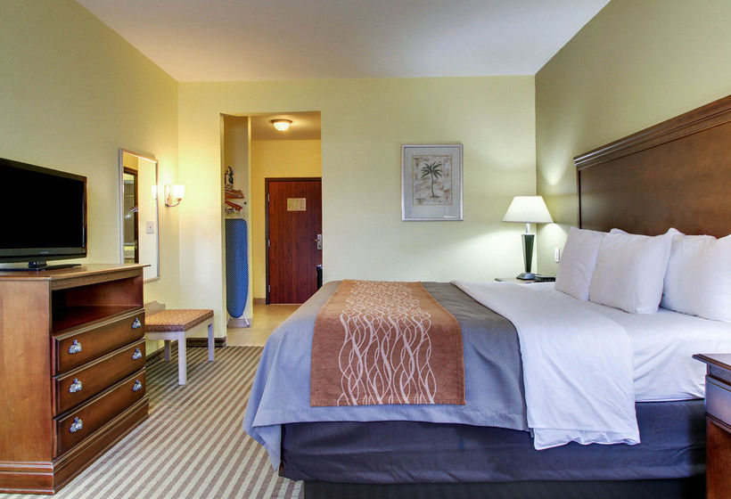 Hotel Comfort Inn & Suites Byram  | Byram | Mississippi | United States 10