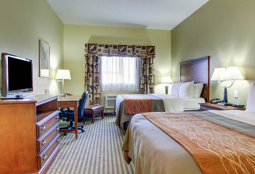 Hotel Comfort Inn & Suites Byram  | Byram | Mississippi | United States 13