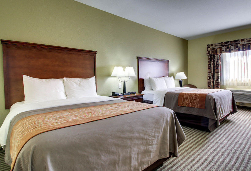 Hotel Comfort Inn & Suites Byram  | Byram | Mississippi | United States 15