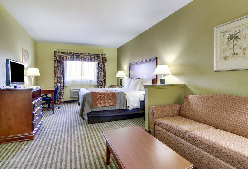 Hotel Comfort Inn & Suites Byram  | Byram | Mississippi | United States 19