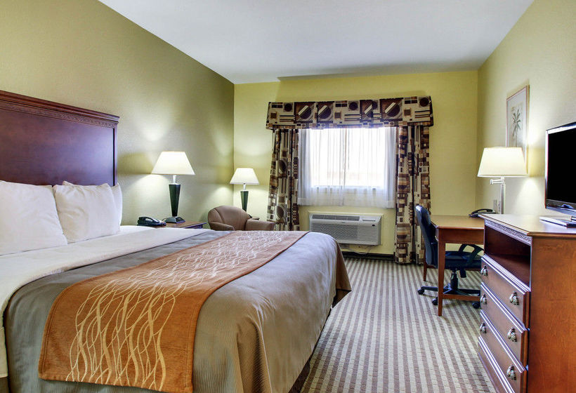 Hotel Comfort Inn & Suites Byram  | Byram | Mississippi | United States 7