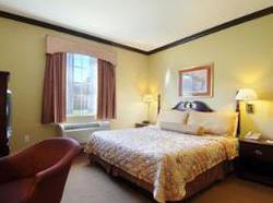 Hotel Days Inn & Suites Ft. Worth Dfw Airport South  | Fort Worth | Texas | United States 4