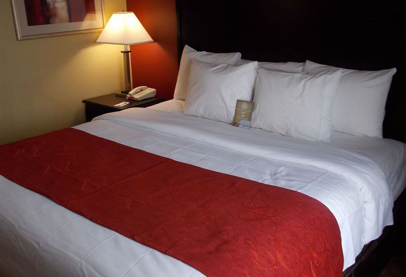 Hotel Comfort Suites Spring  | Spring | Texas | United States 3