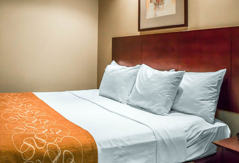 Hotel Comfort Suites Perrysburg  | Perrysburg | Ohio | United States 15
