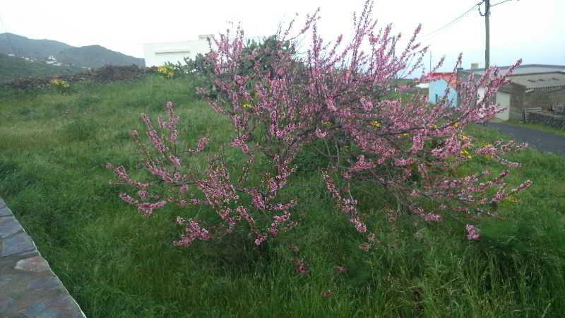 Casas Rurales Herreñas  | Valverde | El Hierro | España 11