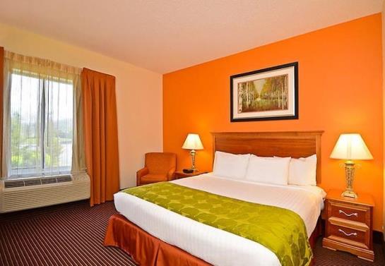Hotel Fairfield Inn & Suites Boone   | Boone | North Carolina | United States 12