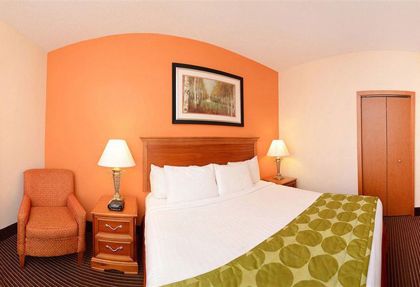 Hotel Fairfield Inn & Suites Boone   | Boone | North Carolina | United States 7