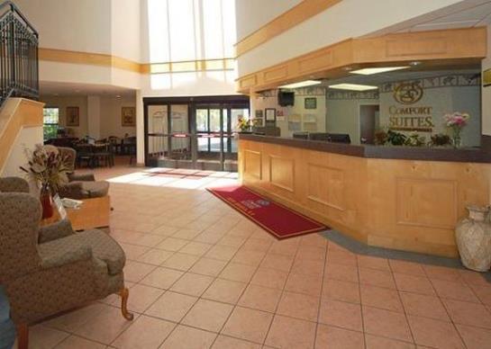 Hotel Comfort Suites New Iberia  | New Iberia | Louisiana | United States 9