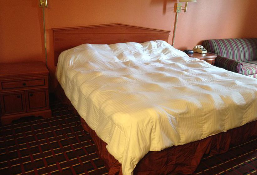 Hotel Texas Inn & Suites  | Lufkin | Texas | Estados Unidos 5