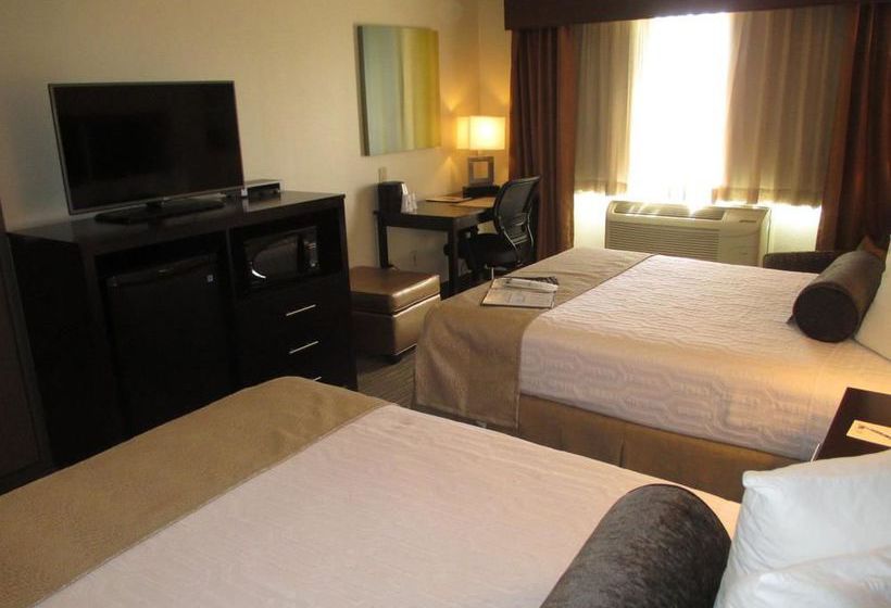 Hotel Super 8 Farmington East  | Farmington | New Mexico | United States 14