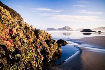 Seaside Vacation Condos  | Seaside | Oregon | United States 14