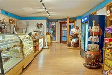 Hotel Great Wolf Lodge Wisconsin Dells Complejo  | Wisconsin Dells | Wisconsin | United States 19