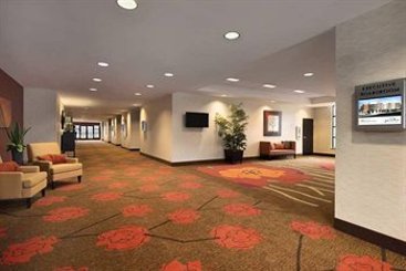 Hotel Hilton Garden Inn Ogden  | Ogden | Utah | United States 13