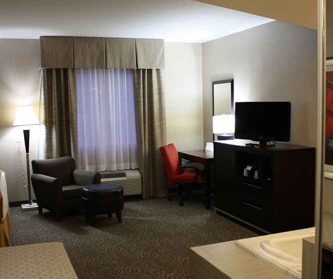 Hotel Holiday Inn Express Toledo North  | Toledo | Ohio | United States 15