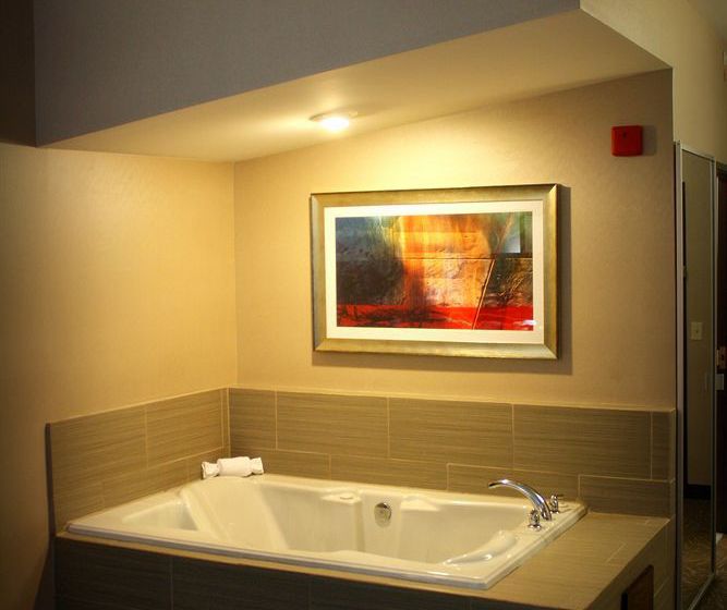 Hotel Holiday Inn Express Toledo North  | Toledo | Ohio | United States 16