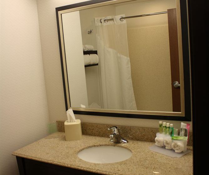 Hotel Holiday Inn Express Toledo North  | Toledo | Ohio | United States 18