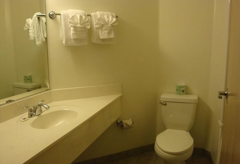 Motel 6 Lake Havasu City - Lakeside  | Lake Havasu City | Arizona | United States 9