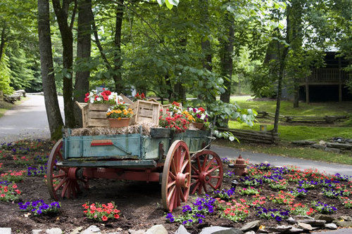 Hotel Complejo Dancing Bear Lodge  | Townsend | Tennessee | United States 17