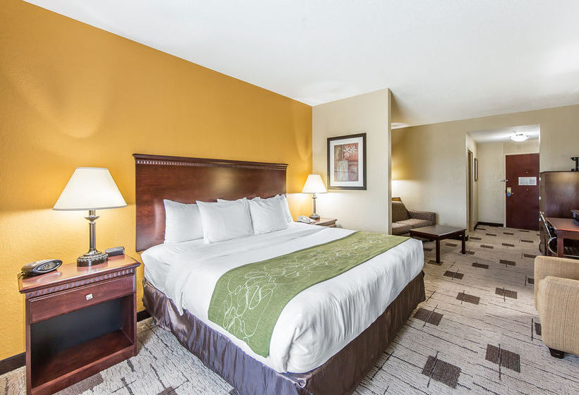 Hotel Comfort Suites Kodak  | Kodak | Tennessee | United States 9