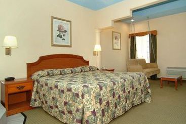 Hotel Regency Inn & Suites Humble  | Humble | Texas | United States 1