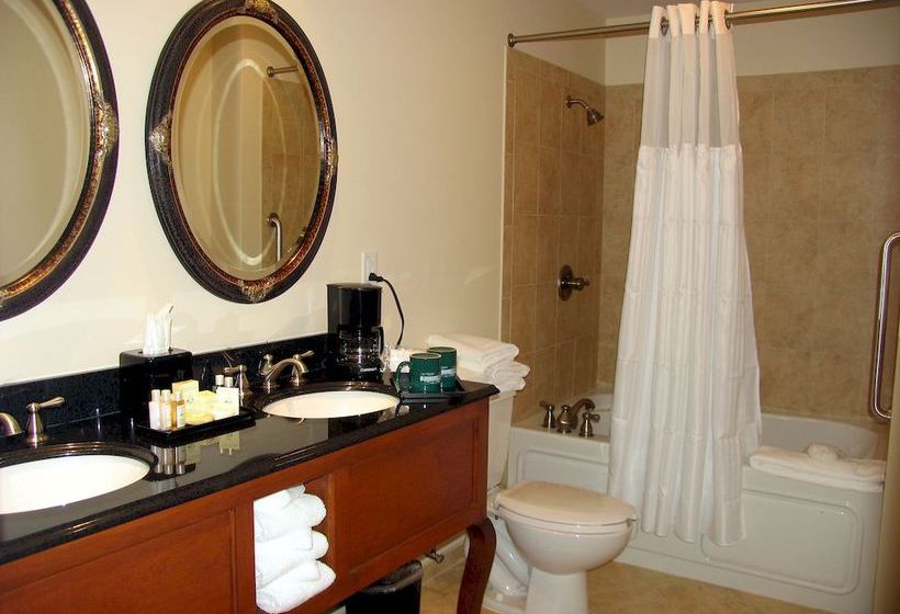 Hotel The Mimslyn Inn Luray 