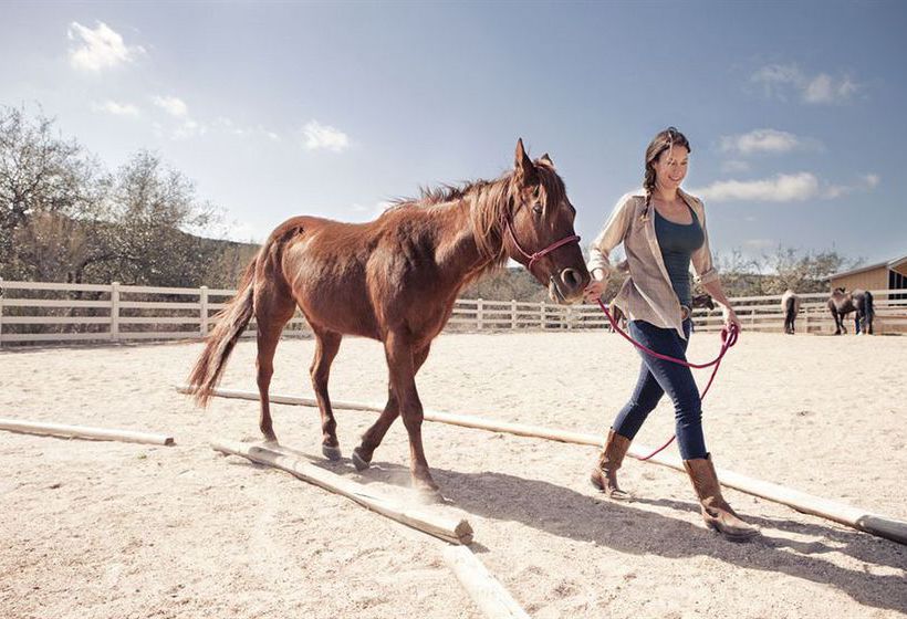 Hotel Travaasa Austin  | Austin | Texas | United States 2