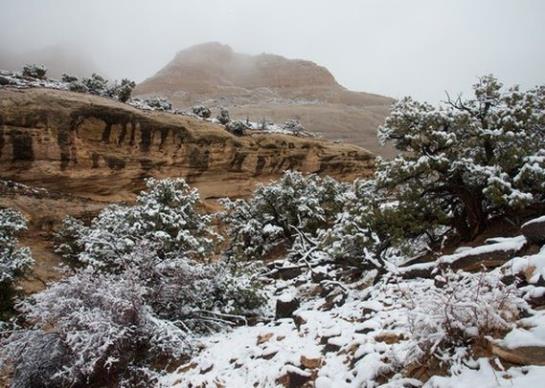 Hotel Rodeway Inn Capitol Reef  | Caineville | Utah | United States