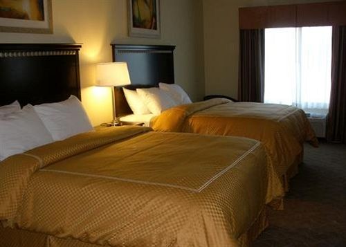 Hotel Comfort Inn & Suites Carbondale  | Carbondale | Illinois | United States 1
