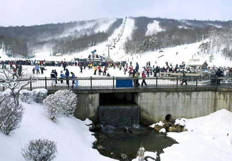 Hotel Springhill Suites Hagerstown  | Hagerstown | Maryland | United States 11