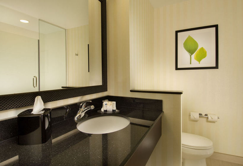 Hotel Fairfield Inn & Suites Baltimore Bwi Airport 