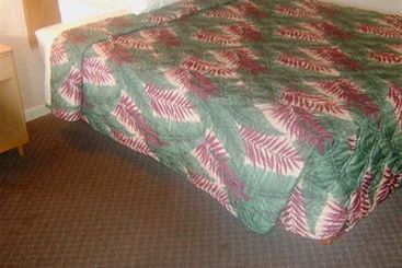 Alma Motel Alma  | Alma | Michigan | Estados Unidos